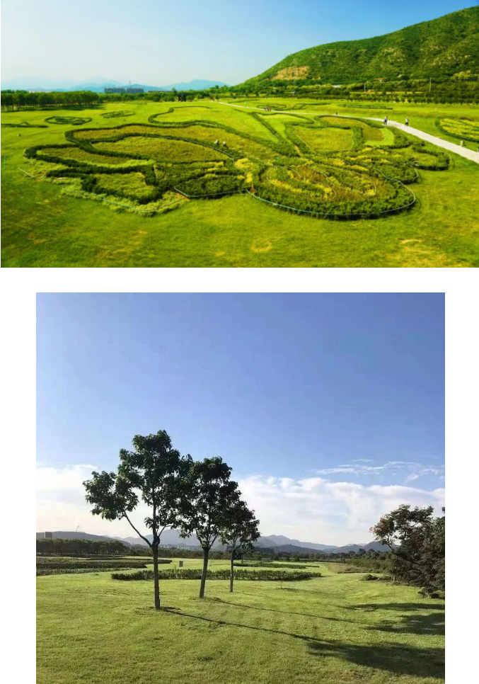 搜狗高速浏览器截图20230619211958.png